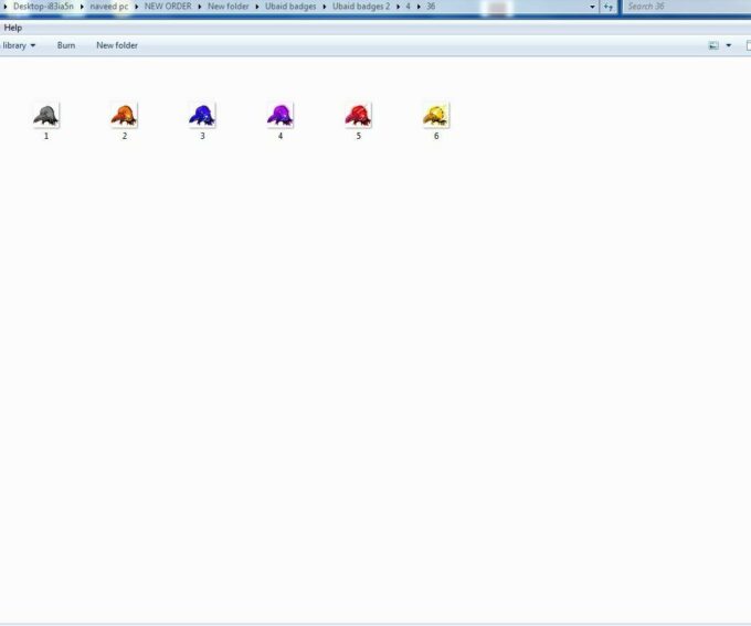 Crow Twitch Sub Badges - Image 4
