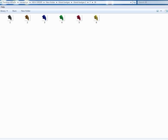 Crow Twitch Sub Badges - Image 4