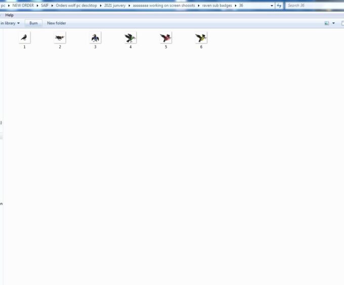 Crow Twitch Sub Badges - Image 4