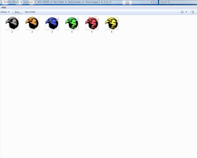 Crow Twitch Sub Badges - Image 5